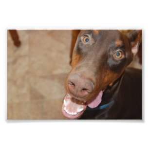 Kaiser Photo Print