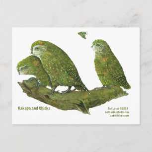kakapo and chicks postcard