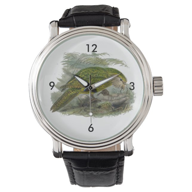 Kakapo Green Owl Parrot, Rare Bird Illustration Watch (Front)