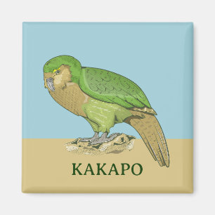 Kakapo illustration magnet