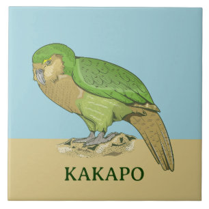 Kakapo illustration tile