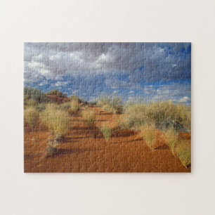 Kalahari Desert Scene, Kgalagadi Transfrontier 2 Jigsaw Puzzle