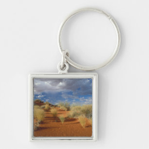 Kalahari Desert Scene, Kgalagadi Transfrontier 2 Keychain