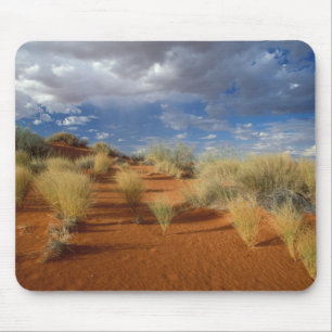 Kalahari Desert Scene, Kgalagadi Transfrontier 2 Mouse Pad