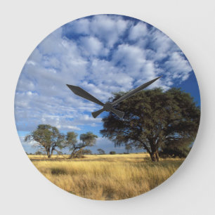 Kalahari Desert Scene, Kgalagadi Transfrontier Large Clock