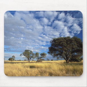 Kalahari Desert Scene, Kgalagadi Transfrontier Mouse Pad