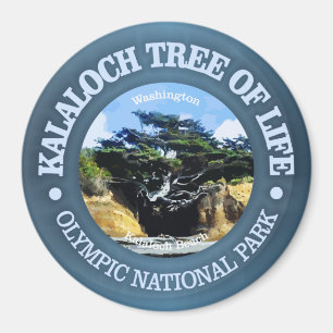 Kalaloch Tree of Life Magnet