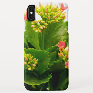 Kalanchoe blossfeldiana Case-Mate iPhone case