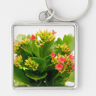 Kalanchoe blossfeldiana keychain
