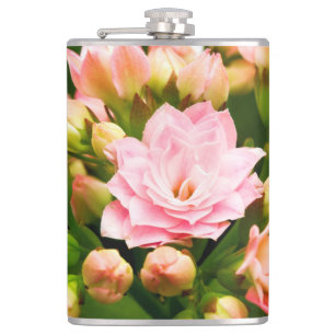 Kalanchoe calandiva hip flask
