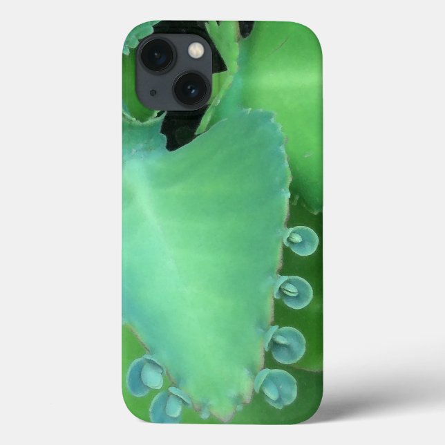 Kalanchoe Case-Mate iPhone Case (Back)