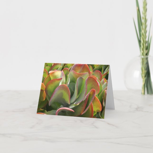 Kalanchoe notecard (Front)