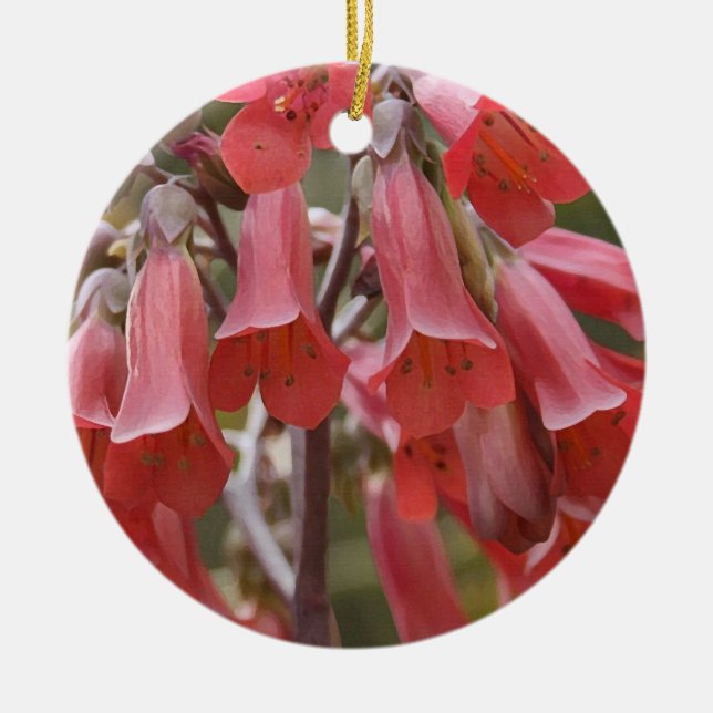Kalanchoe Tubiflora Ceramic Ornament (Front)