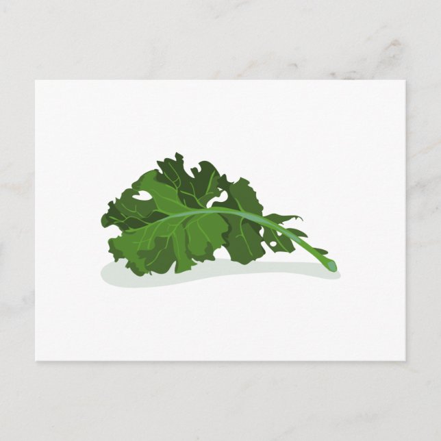 Kale Leaf Postcard (Front)