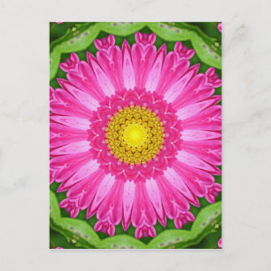 Kaleidoscope Aster Postcard
