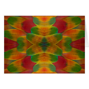 kaléidoscope de plumes de perroquet ara
