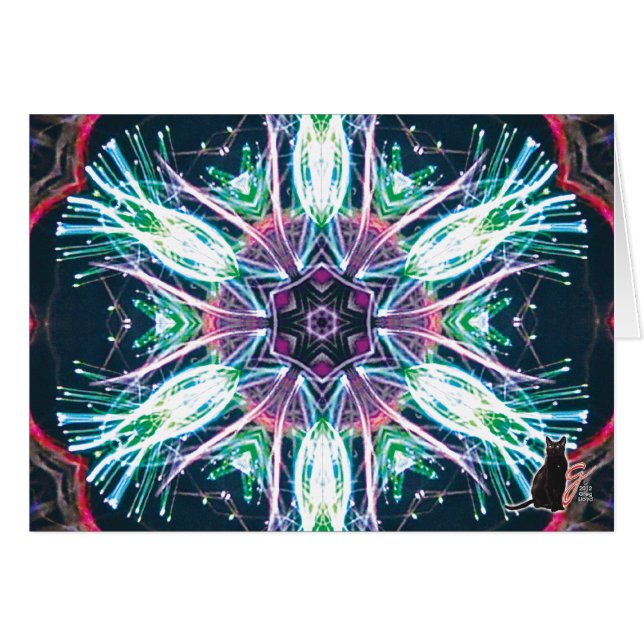 Kaléidoscope de tulipes (Devant horizontal)