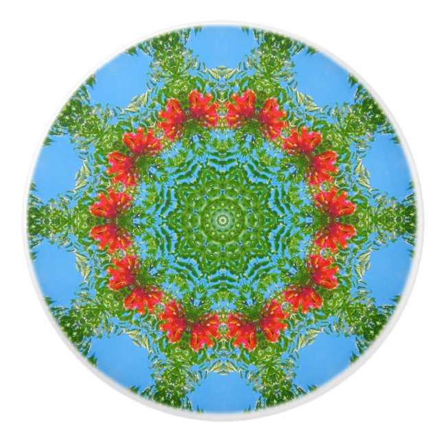 Kaleidoscope Floral Ceramic Knob (Front)