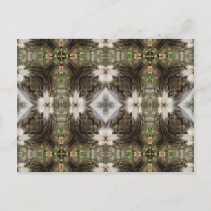 Kaleidoscope Kitty Postcard