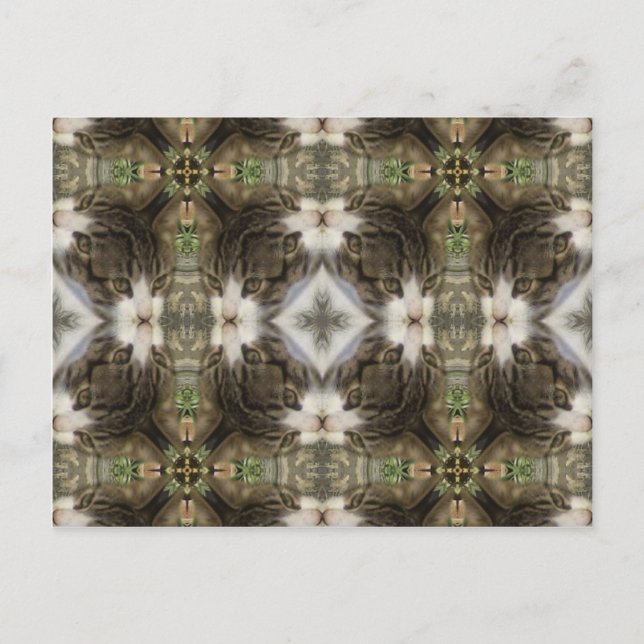 Kaleidoscope Kitty Postcard (Front)