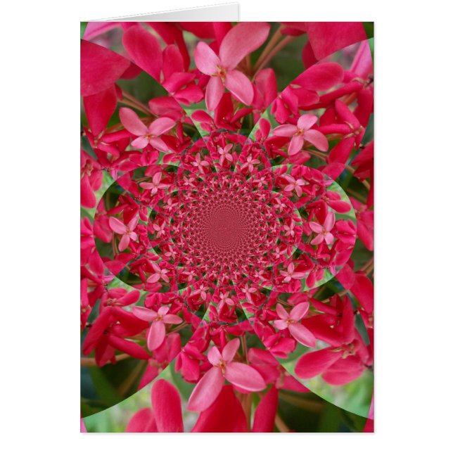 Kaleidoscope of Crimson: Blood Milkweed Flower Art (Front)
