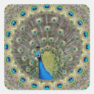 Kaleidoscope Peacock Square Sticker
