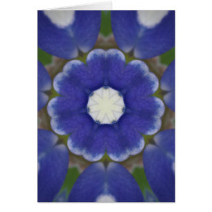 Kaleidoscope Pétal Bluebonnet