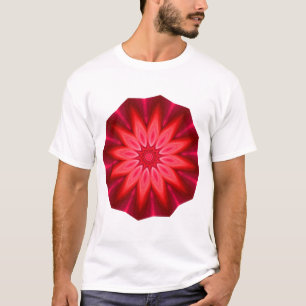 Kaleidoscopic 260614(3) T-Shirt