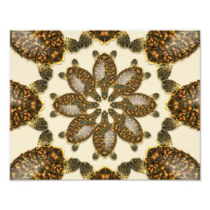 Kaleidoscopic Hawksbill Sea Turtle 14" x 11" Print