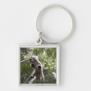 kalispell, montana, united states of america keychain