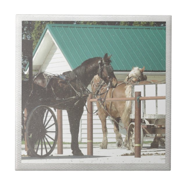 Kalona Amish Horses Tile (Front)