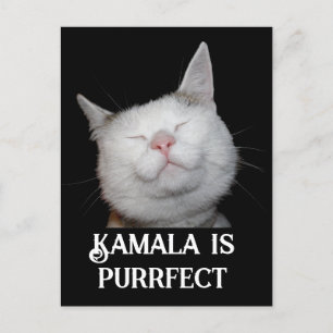 Kamala is Purrfect  Postcard