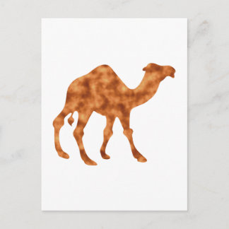 Kamel camel postcard