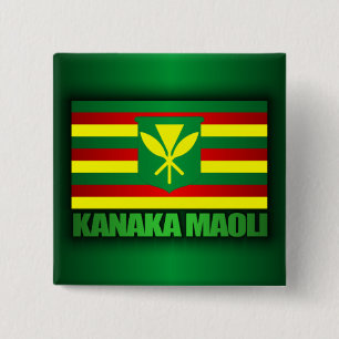 Kanaka Maoli Flag 2 Inch Square Button