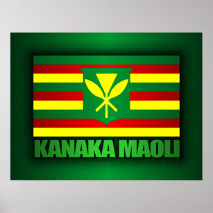 Kanaka Maoli Flag Poster