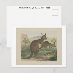 KANAROO Joseph Scholz, 1829 - 1880 Postcard