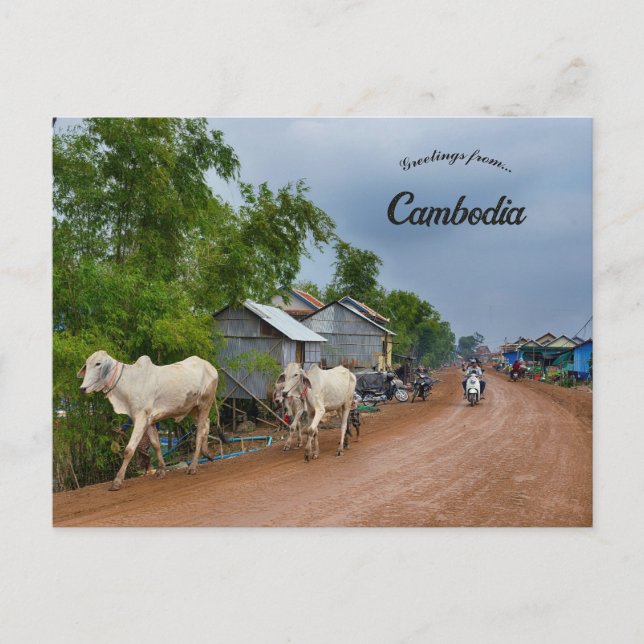 Kandal Province Cambodia Postcard (Front)