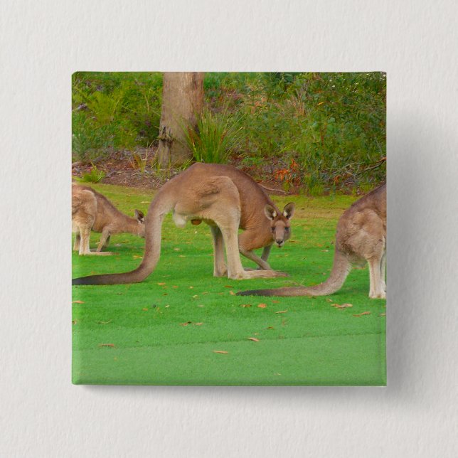 kanga 2 inch square button (Front)