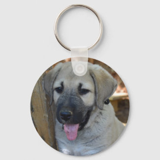 Kangal - Anatolian Sheep Dog Keychain