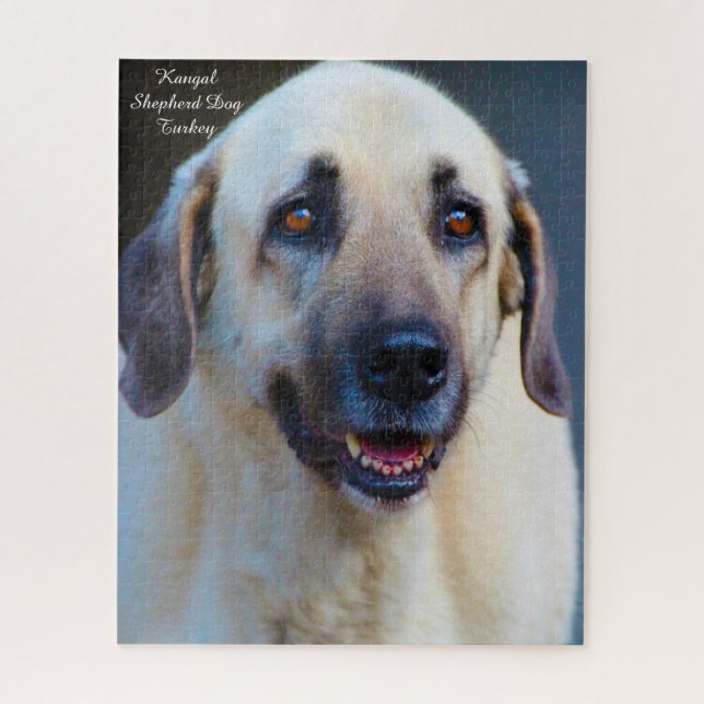 Kangal Dog. Jigsaw Puzzle (Vertical)