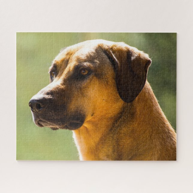 Kangal Dog. Jigsaw Puzzle (Horizontal)