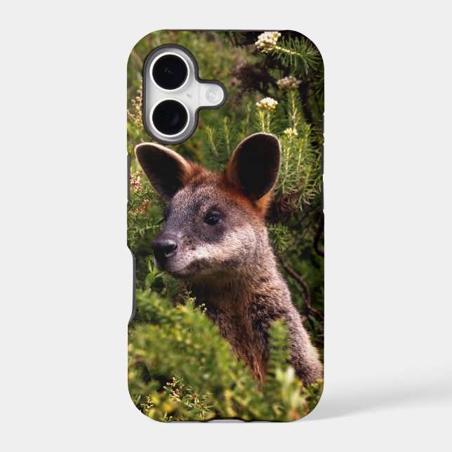 Kangaroo (Back)