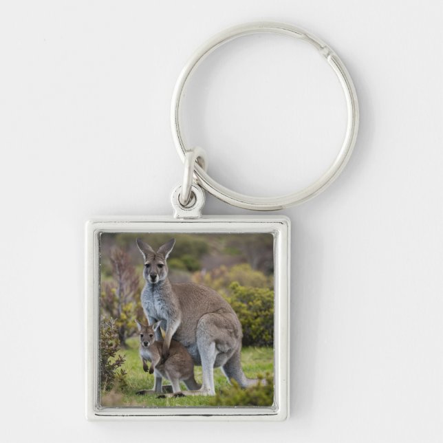 Kangaroo and Joey Keychain (Front)