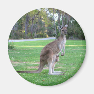 Kangaroo and Joey Magnet