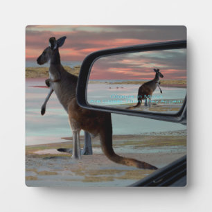 Kangaroo At The Beach, Plaque
