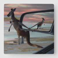 Kangaroo At The Beach,