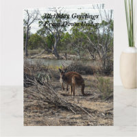 Kangaroo At The Billabong, Jumbo Birthday Card,