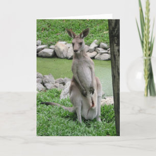 Kangaroo avec Joey carte d'anniversaire