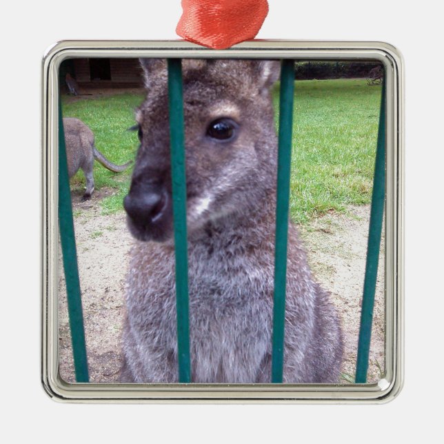 Kangaroo behind bars metal ornament (Front)