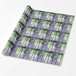 Kangaroo behind bars wrapping paper